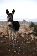 Matxani Gran Agroturismo