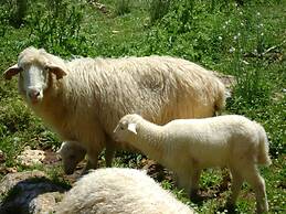 Matxani Gran Agroturismo