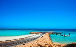 RAC Ningaloo Reef Resort