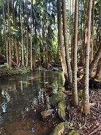 Mt Tamborine Stonehaven Boutique Hotel