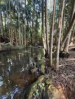 Mt Tamborine Stonehaven Boutique Hotel