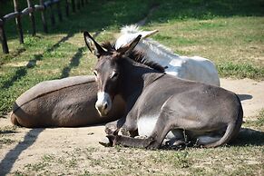 Venicegreen Agriresort