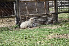 Venicegreen Agriresort