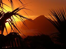 Bethells Beach Cottages