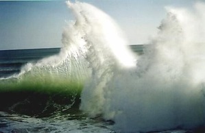 Bethells Beach Cottages