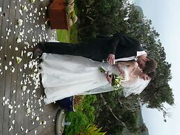 Bethells Beach Cottages