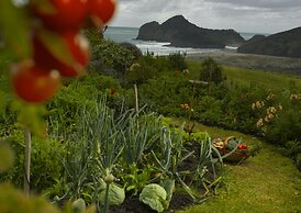 Bethells Beach Cottages