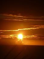Bethells Beach Cottages