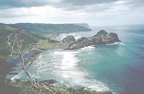 Bethells Beach Cottages