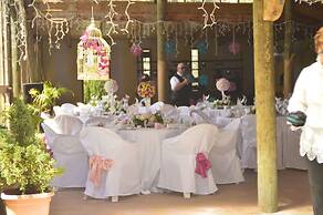 Bethells Beach Cottages