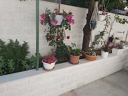 Apartmani Teo
