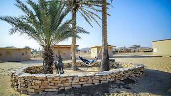 Negev Camel Ranch