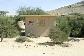 Negev Camel Ranch