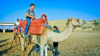 Negev Camel Ranch