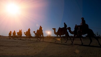 Negev Camel Ranch
