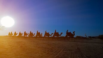 Negev Camel Ranch