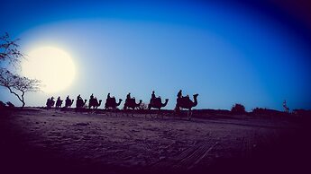 Negev Camel Ranch