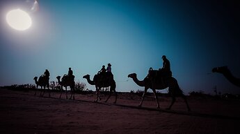 Negev Camel Ranch