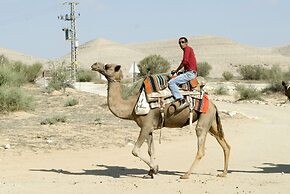 Negev Camel Ranch