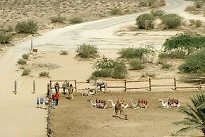 Negev Camel Ranch