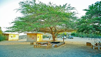 Negev Camel Ranch