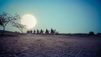 Negev Camel Ranch