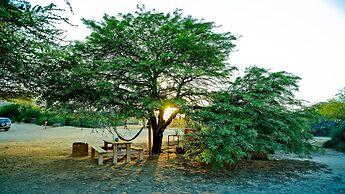 Negev Camel Ranch