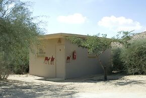 Negev Camel Ranch