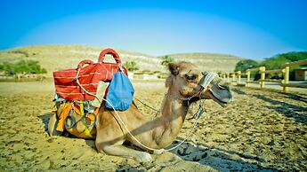 Negev Camel Ranch