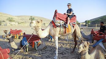 Negev Camel Ranch