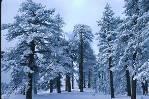 Elliott House Boutique Inn