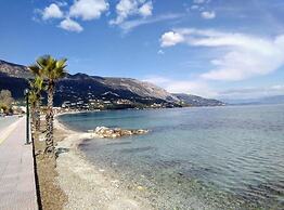 Comfy Hostel Studios