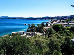 Comfy Hostel Studios