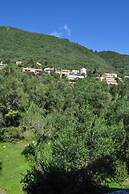 Comfy Hostel Studios