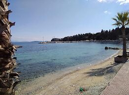 Comfy Hostel Studios