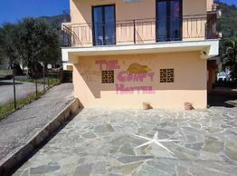 Comfy Hostel Studios