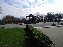 Comfy Hostel Studios