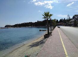 Comfy Hostel Studios