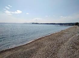 Comfy Hostel Studios