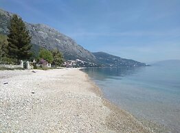 Comfy Hostel Studios