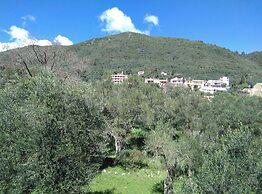 Comfy Hostel Studios