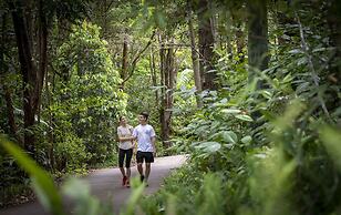 Kondalilla Eco Resort