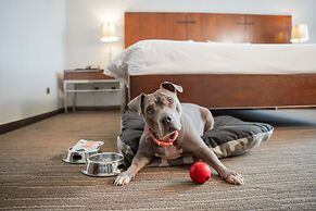 Hilton Garden Inn Santiago Airport