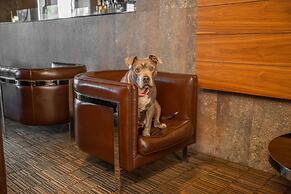 Hilton Garden Inn Santiago Airport