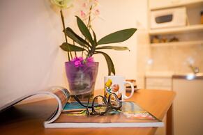 Studio Apartment Andrijana