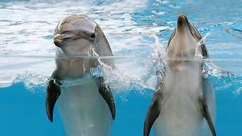 Farglory Hotel Hualien