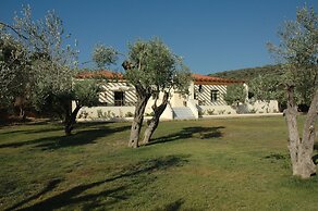 Gera's Olive Grove