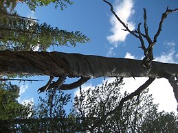 Sälens Vandrarhem - Hostel