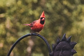 Les Chalets du Trappeur