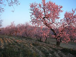 Apartamentos Serrella
